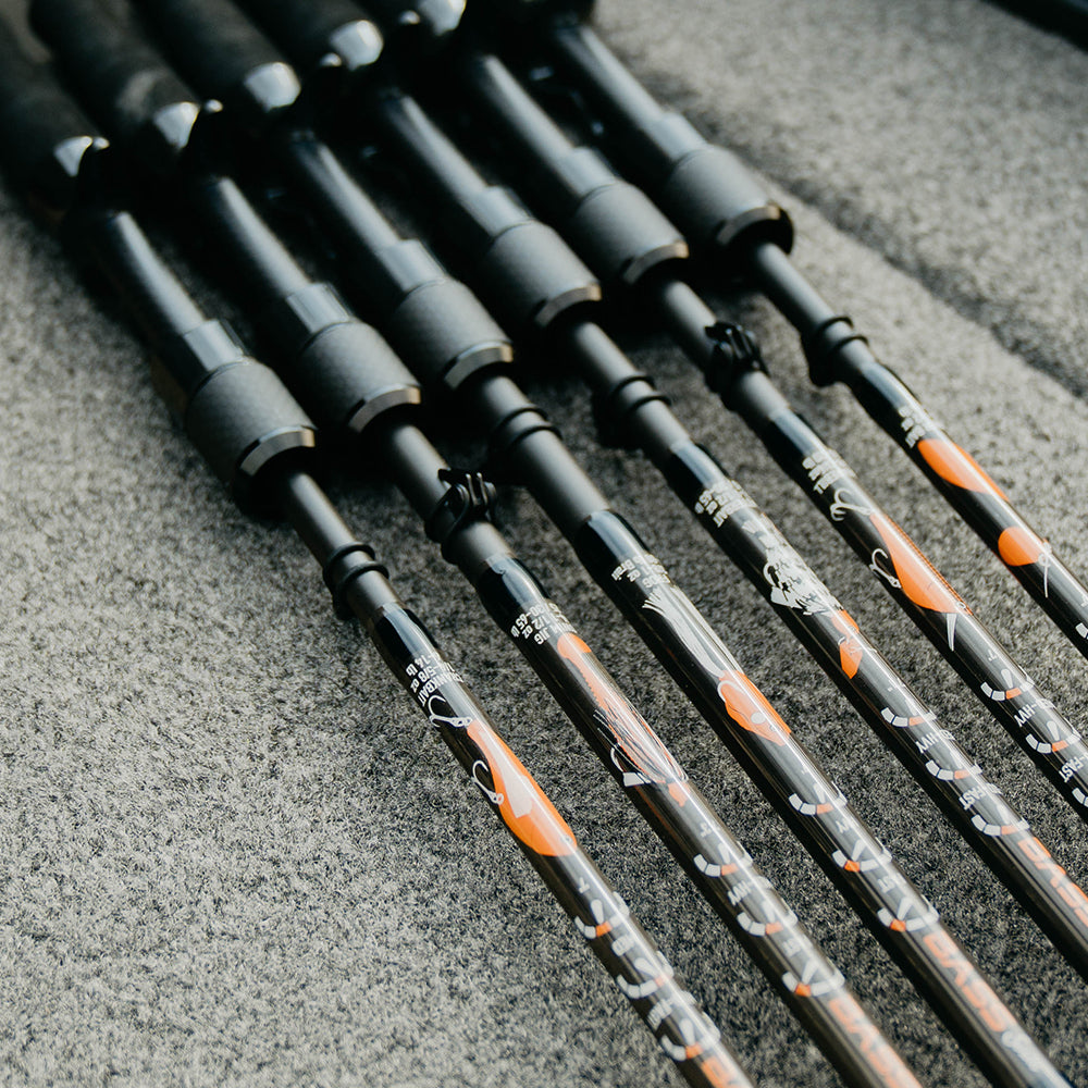 Spinning and Casting Fishing Rods