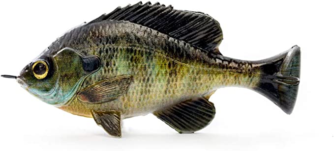 Savage Gear Pulse Tail Bluegill lb Bluegill