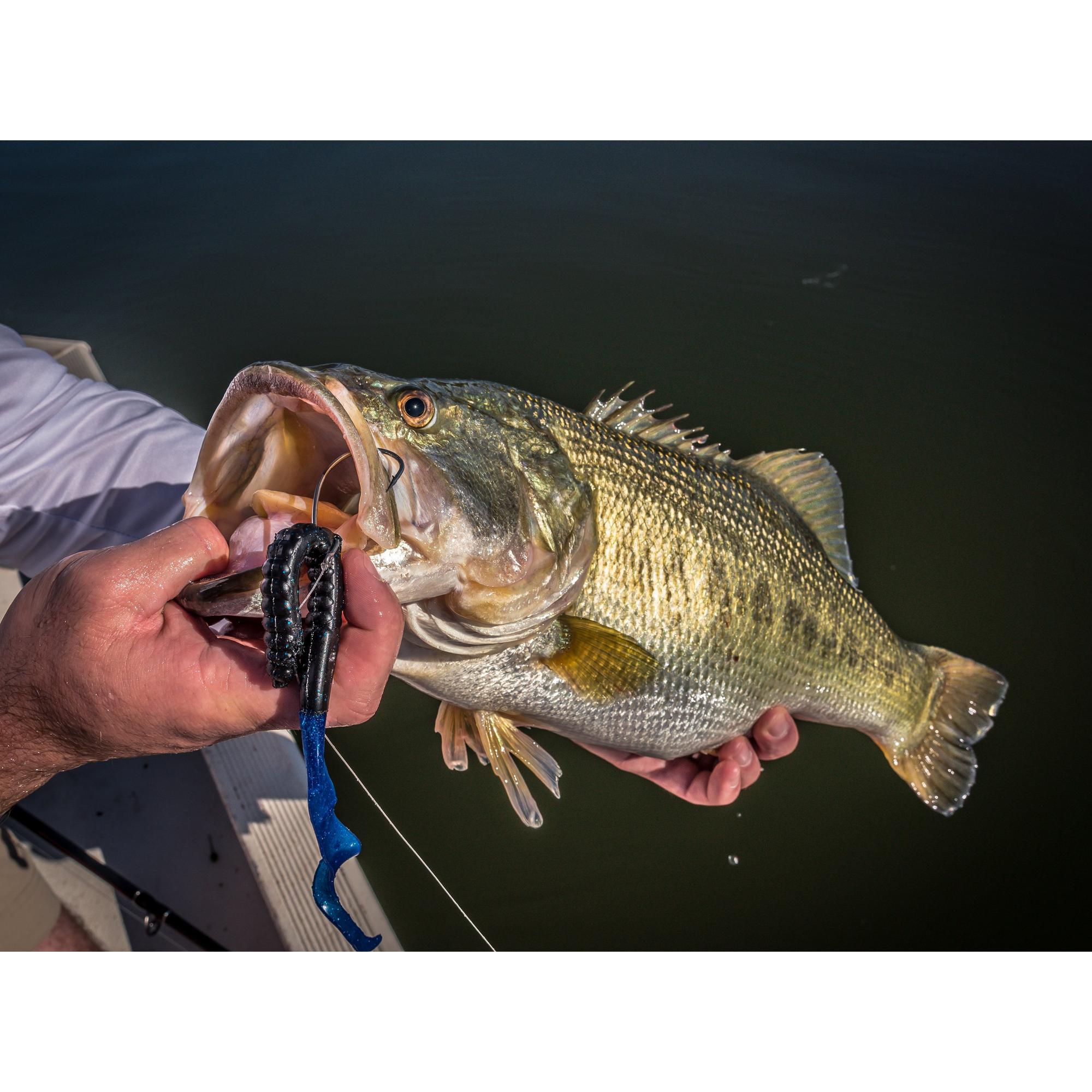 Berkley PowerBait® Power Worms®
