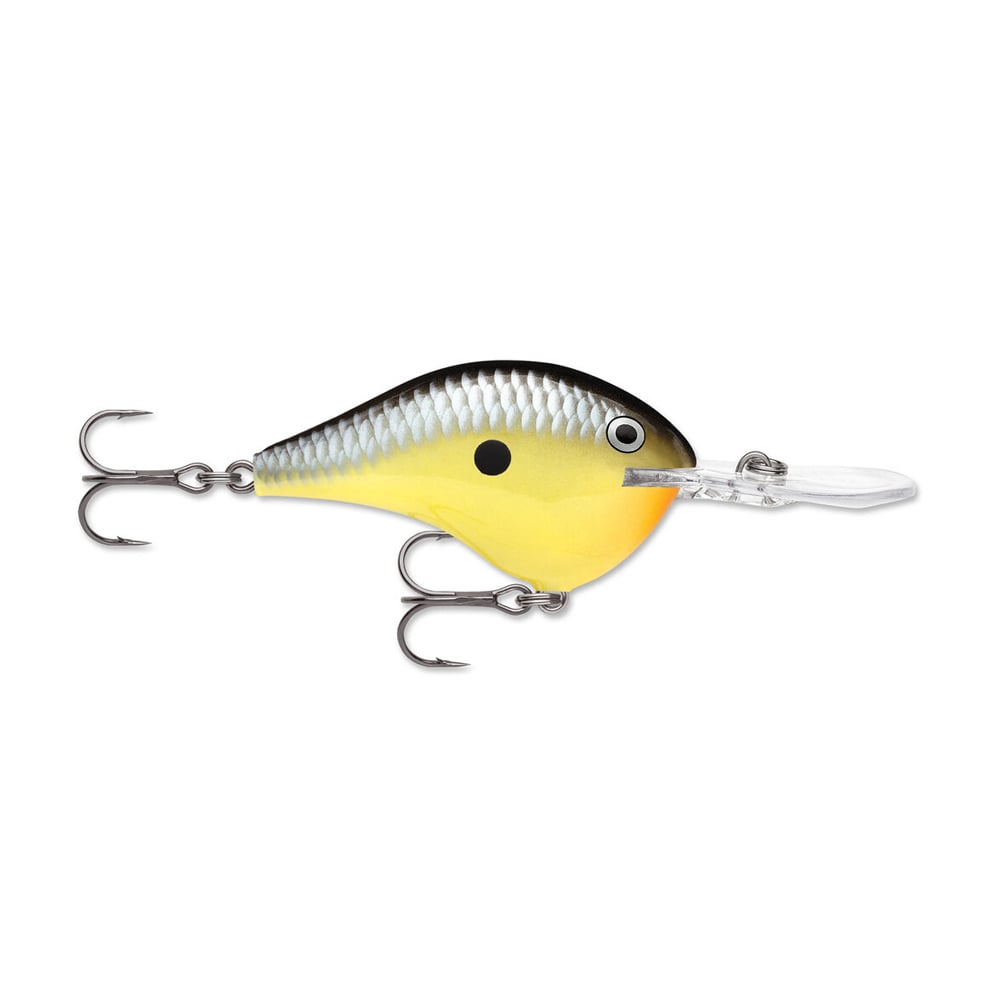 Rapala DT (Dives-To) Series Crankbait