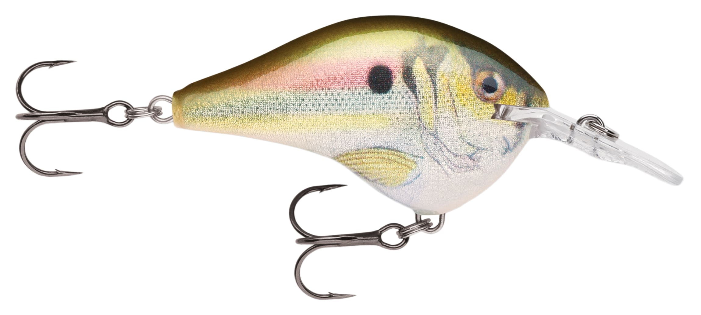 Rapala DT (Dives-To) Series Crankbait