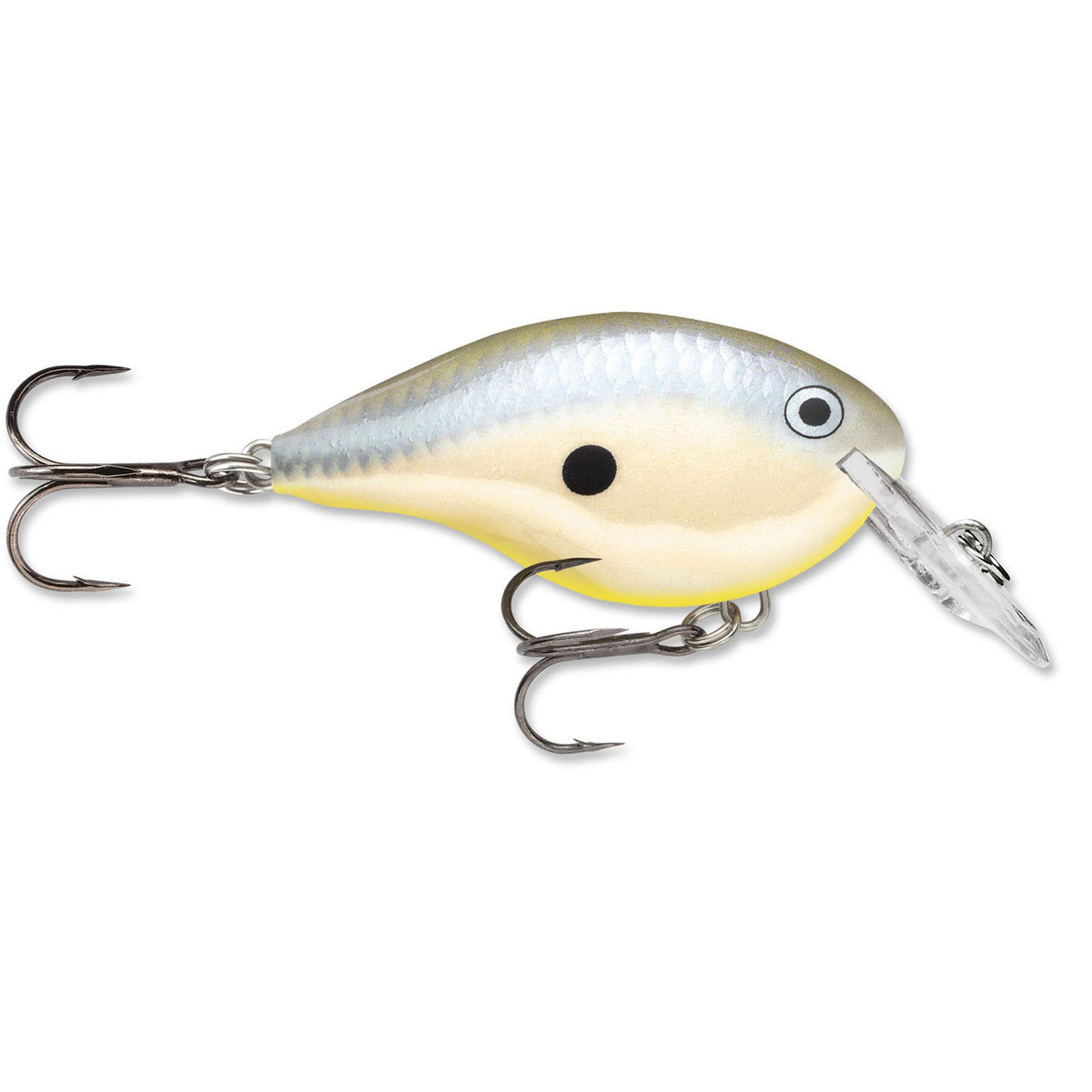 Rapala DT (Dives-To) Series Crankbait