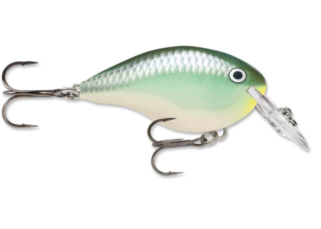 Rapala DT (Dives-To) Series Crankbait