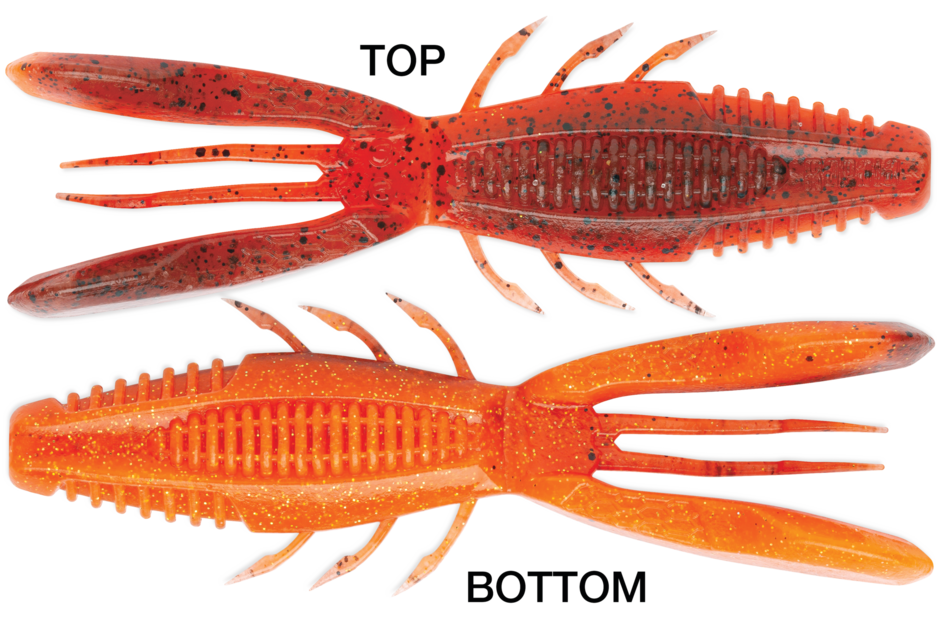 Rapala CrushCity Bronco Bug