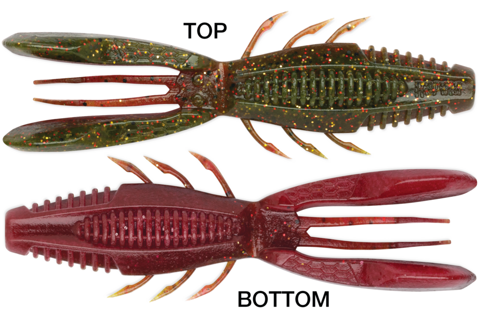 Rapala CrushCity Bronco Bug