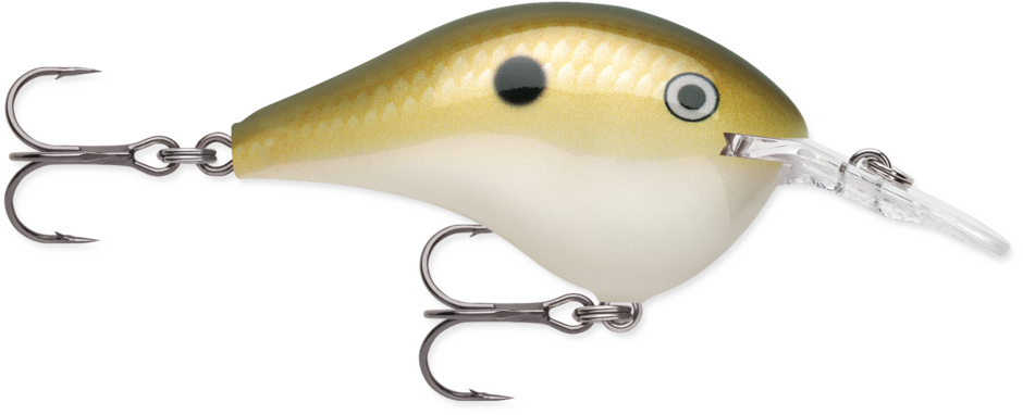 Rapala DT (Dives-To) Series Crankbait