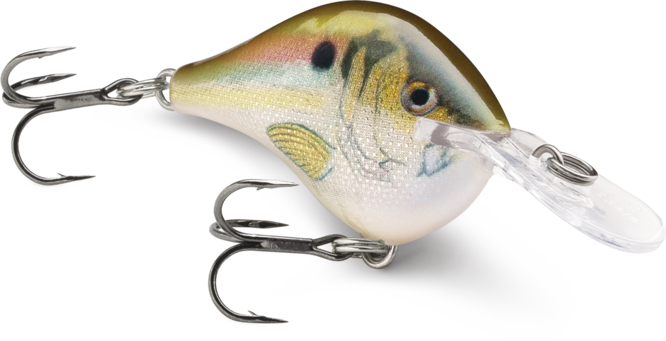 Rapala DT (Dives-To) Series Crankbait
