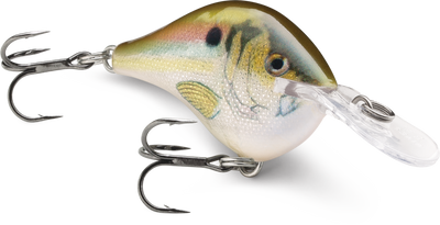 Rapala DT (Dives-To) Series Crankbait