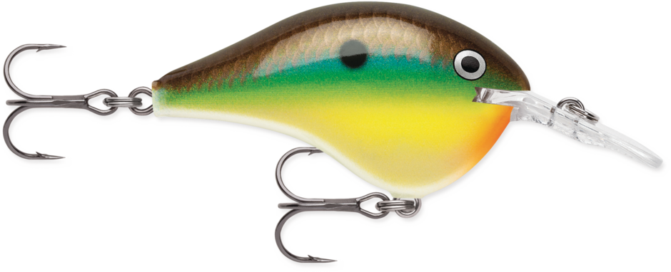 Rapala DT (Dives-To) Series Crankbait