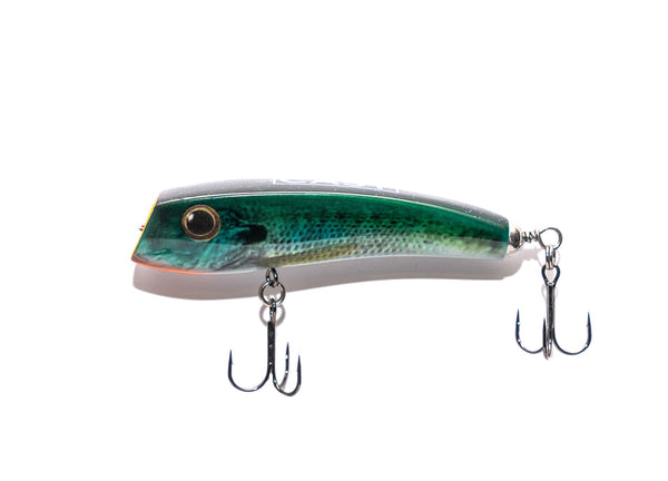 down under fishing lures CAST Diving Popper – BIG Adventures the Coolbaits Lure Company Daiwa Black Widow BR Size:Size 0 - 13/16