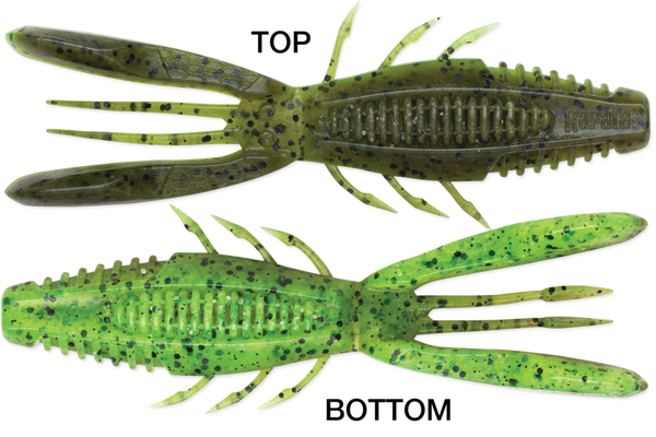 Rapala CrushCity Bronco Bug