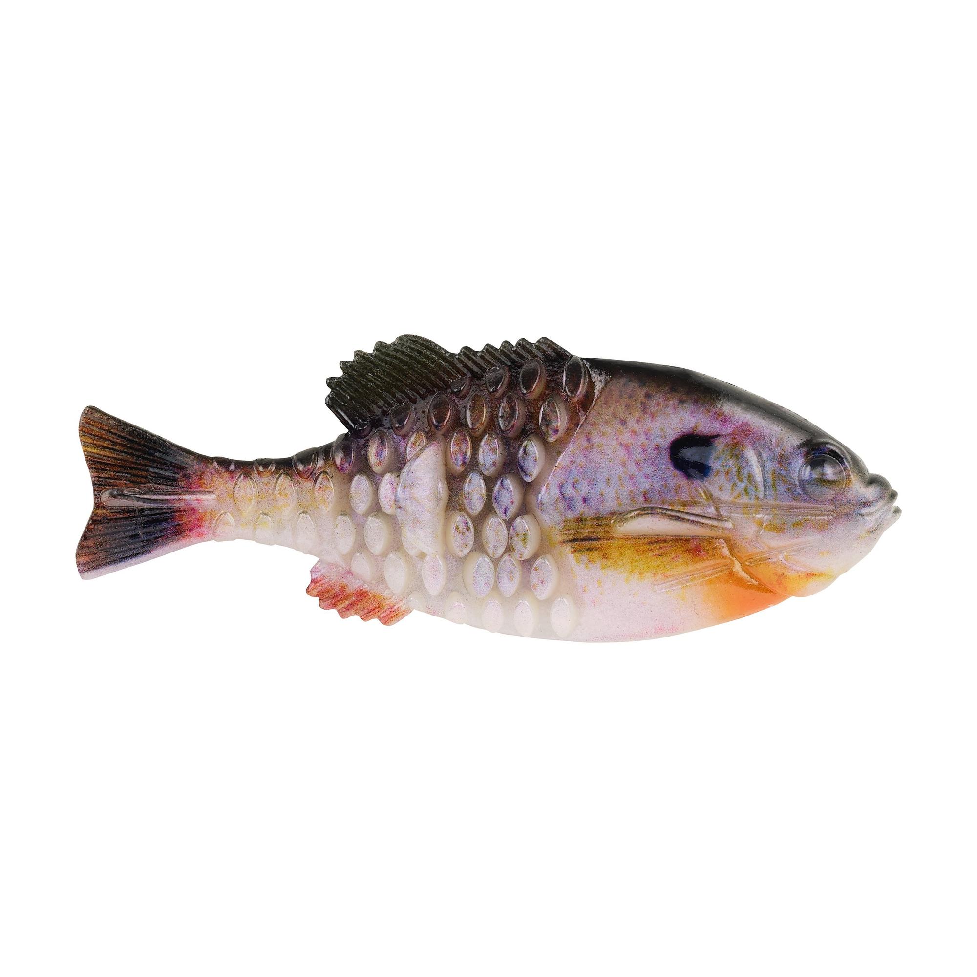 Berkley Fishing - Rainbow trout love Berkley PowerBait! Angler